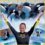 Loro Parque in Tenerife