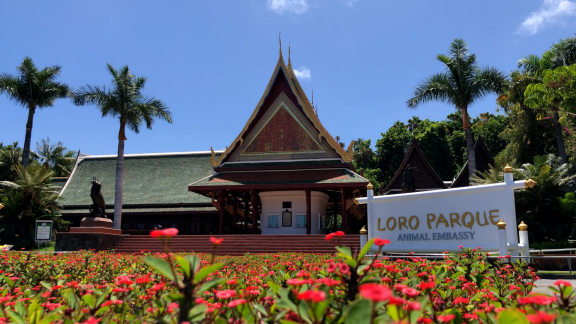 Loro Parque